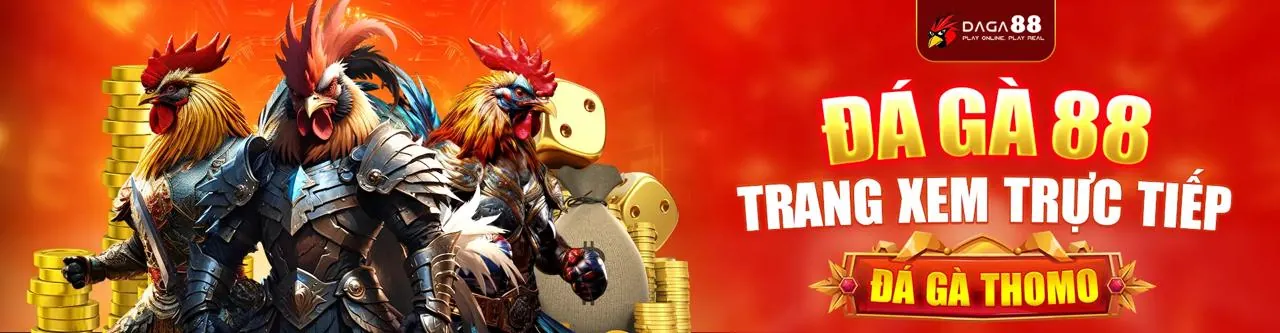 Đá Gà Trực Tuyến 3king
