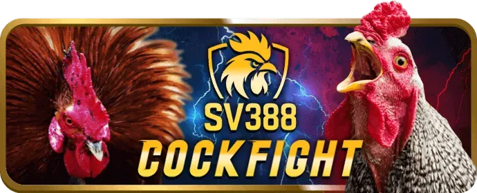 Luyện tập thường xuyên các game bài